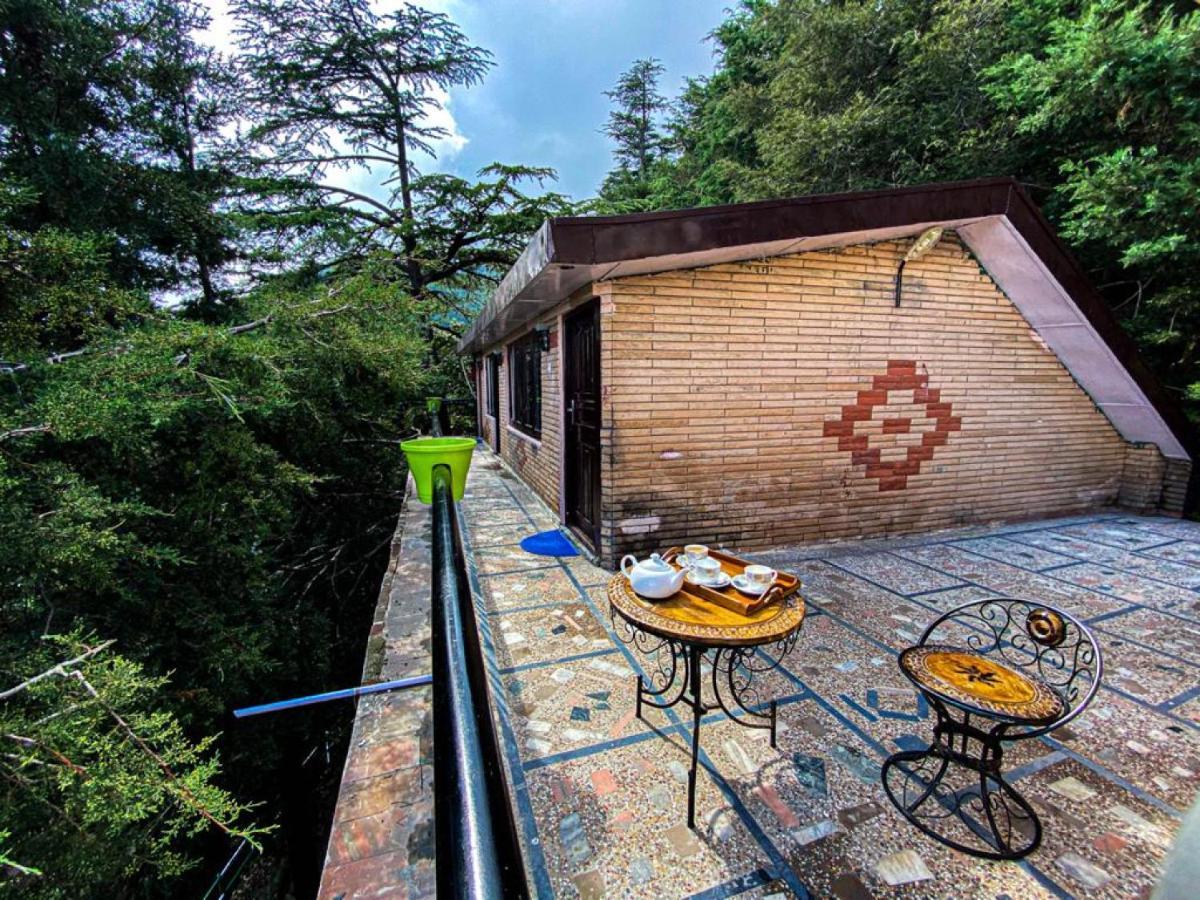 Jakhu Vibes Shimla Exterior foto