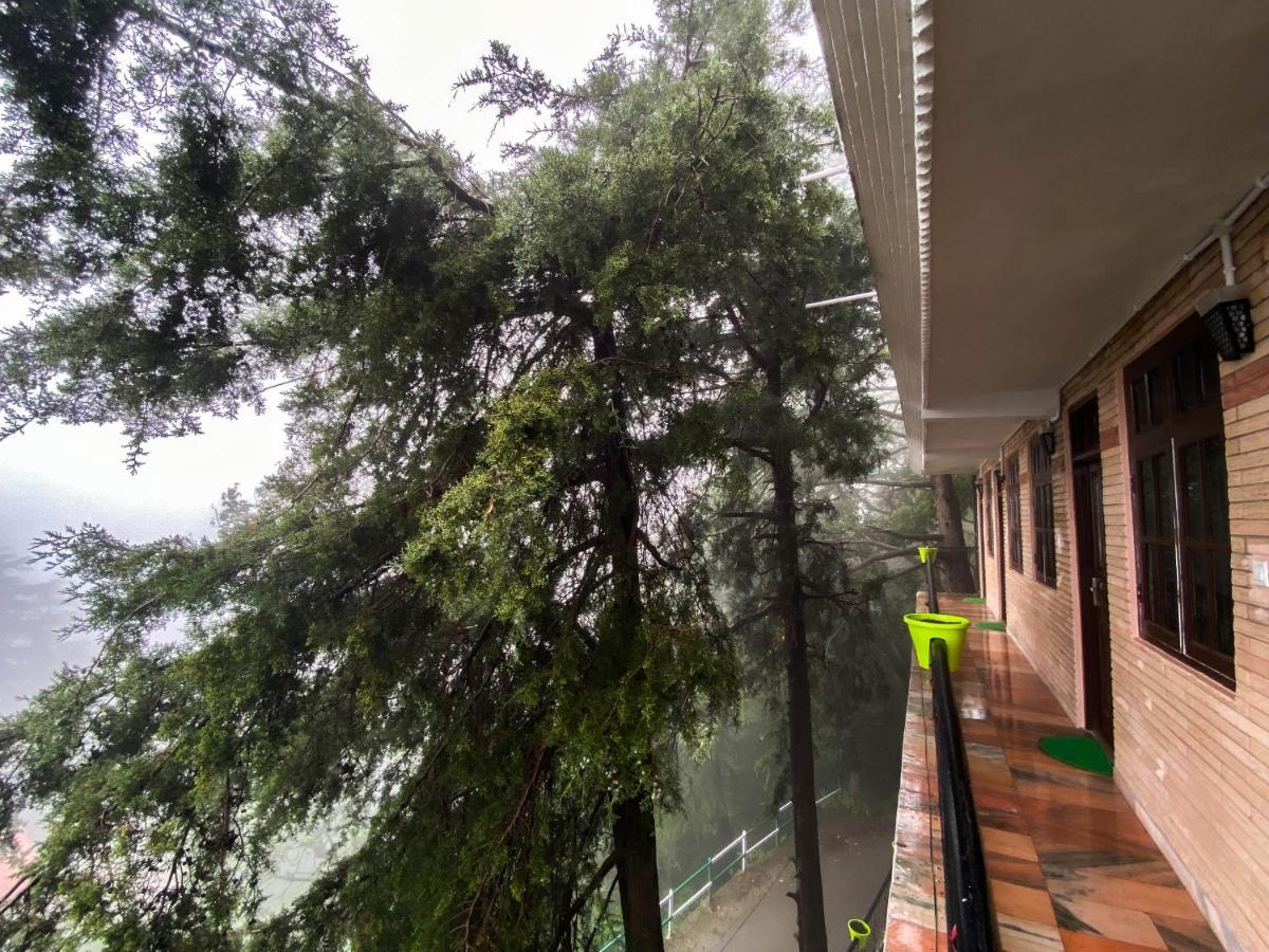 Jakhu Vibes Shimla Exterior foto
